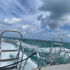 Meet your Posher, Halie